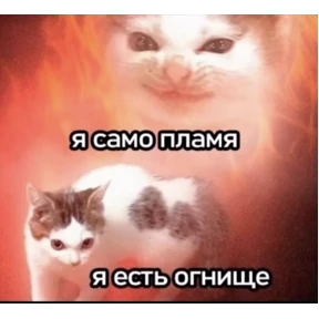 Prprprpro — стикер для MAX