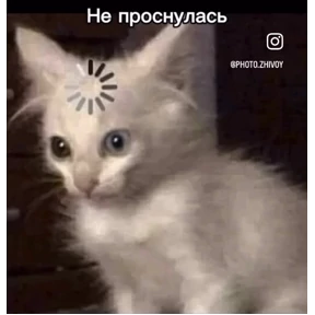 Prprprpro — стикер для MAX