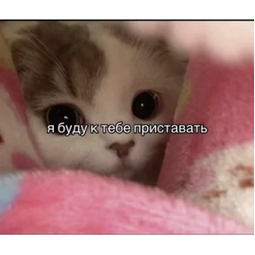Prprprpro — стикер для MAX