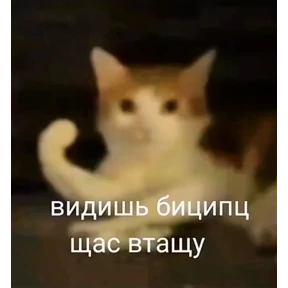 Prprprpro — стикер для MAX