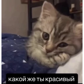 Prprprpro — стикер для MAX
