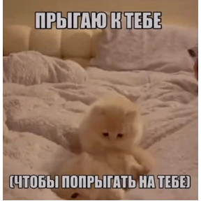 Prprprpro — стикер для MAX