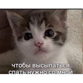 Prprprpro — стикер для MAX