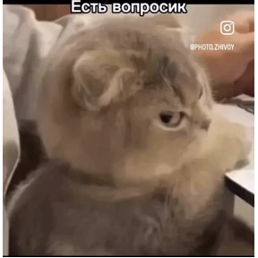 Prprprpro — стикер для MAX