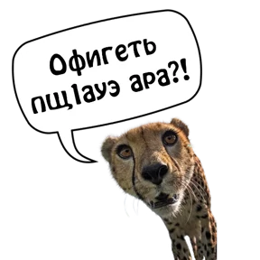 Бесленей.Ru — стикер для MAX