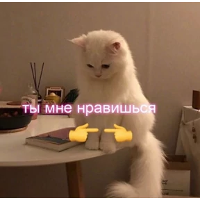 Prprprpro — стикер для MAX