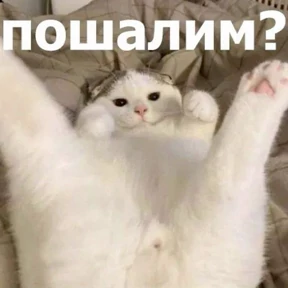 Prprprpro — стикер для MAX