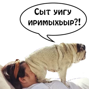 Бесленей.Ru — стикер для MAX