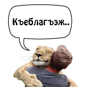 Бесленей.Ru — стикер для MAX