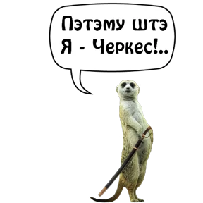 Бесленей.Ru — стикер для MAX