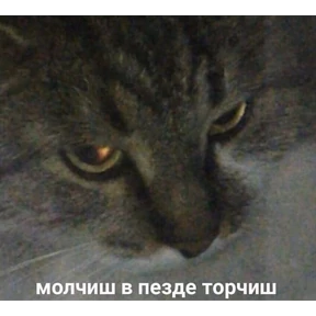 Prprprpro — стикер для MAX