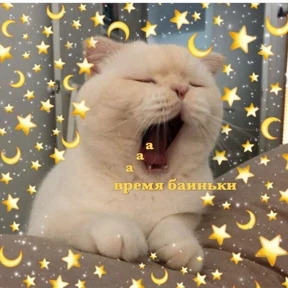 Prprprpro — стикер для MAX