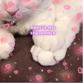 Prprprpro — стикер для MAX