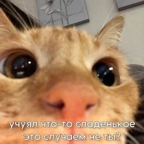 Prprprpro — стикер для MAX