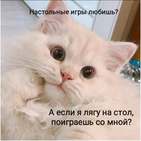Prprprpro — стикер для MAX