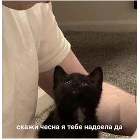 Prprprpro — стикер для MAX