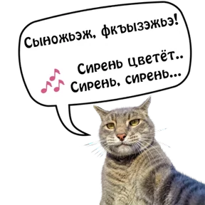 Бесленей.Ru — стикер для MAX