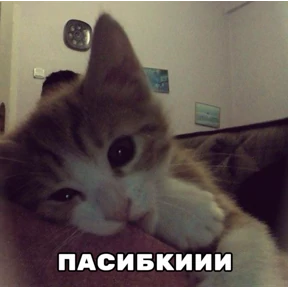 стик — стикер для MAX