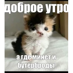 Prprprpro — стикер для MAX