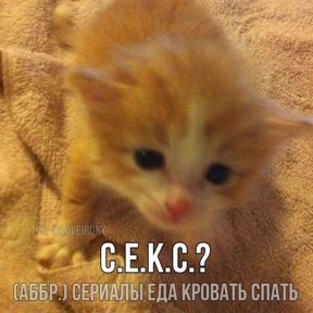 Prprprpro — стикер для MAX