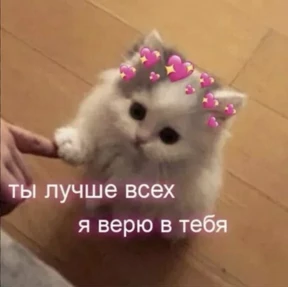 Prprprpro — стикер для MAX