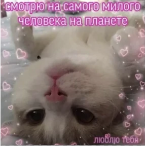 Prprprpro — стикер для MAX
