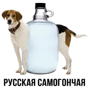 Звери — стикер для MAX