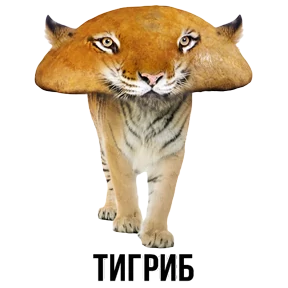 Звери — стикер для MAX