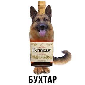 Звери — стикер для MAX