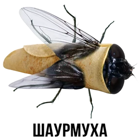 Звери — стикер для MAX