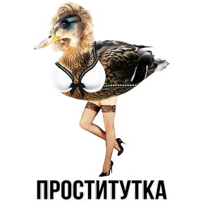 Звери — стикер для MAX