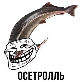 Звери — стикер для MAX