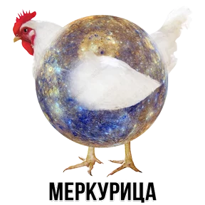 Звери — стикер для MAX