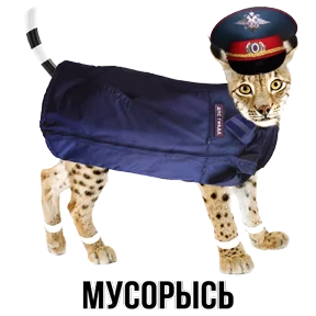 Звери — стикер для MAX