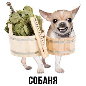Звери — стикер для MAX