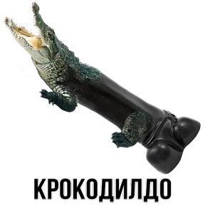 Звери — стикер для MAX