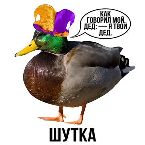Звери — стикер для MAX