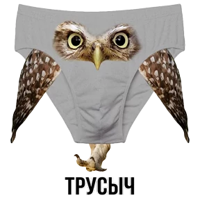 Звери — стикер для MAX