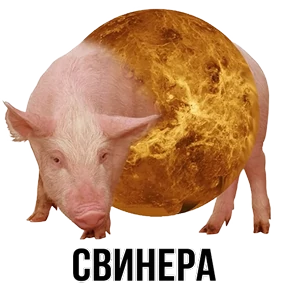 Звери — стикер для MAX
