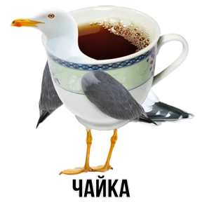 Звери — стикер для MAX