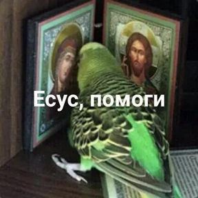 СтикерКвин — стикер для MAX
