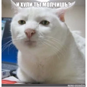Базар — стикер для MAX