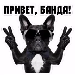 Супер стикер — стикер для MAX