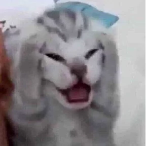 Нуя — стикер для MAX