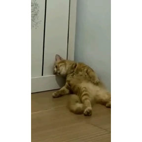 Нуя — стикер для MAX
