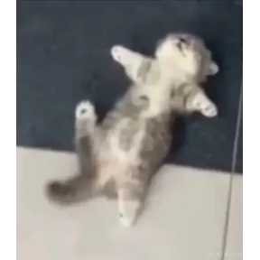 Нуя — стикер для MAX