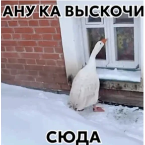 Стик — стикер для MAX