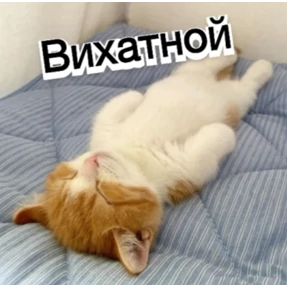 Стик — стикер для MAX