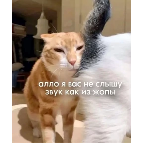 Токсик — стикер для MAX