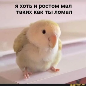 Токсик — стикер для MAX
